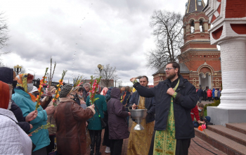 Вербное воскресенье в кафедральных соборах Борисовской епархии 