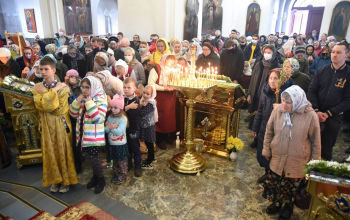 Вербное воскресенье в кафедральных соборах Борисовской епархии 