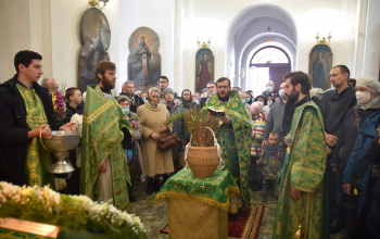 Вербное воскресенье в кафедральных соборах Борисовской епархии 