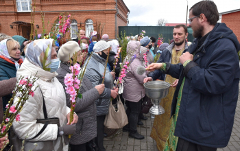 Вербное воскресенье в кафедральных соборах Борисовской епархии 