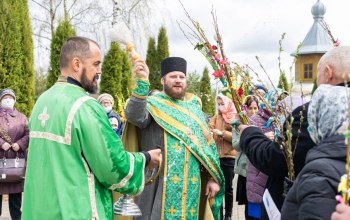 Вербное воскресенье в кафедральных соборах Борисовской епархии 