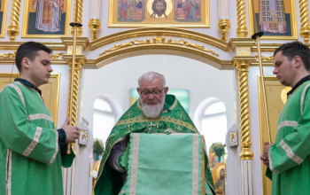 Вербное воскресенье в кафедральных соборах Борисовской епархии 