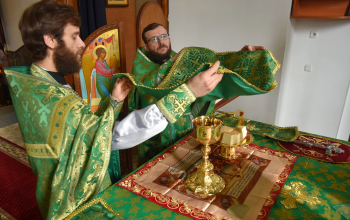 Вербное воскресенье в кафедральных соборах Борисовской епархии 