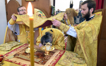 Митрополит Вениамин совершил Литургию в кафедральном соборе г.Борисова