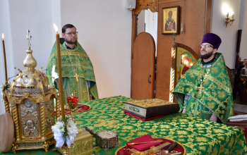 Епархиальная акция «Дорога к Пасхе» в Борисовской епархии