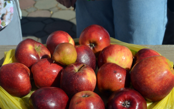 Праздник Преображения в храме Рождества Христова