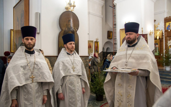 Божественная литургия в кафедральном соборе г.Борисова
