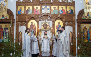 Епископ Амвросий. Божественная литургия в кафедральном соборе г.Борисова