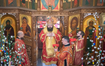 Престольный праздник прихода храма Димитрия Донского