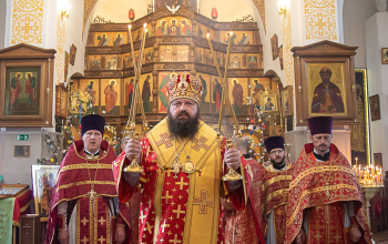 Престольный праздник прихода храма Димитрия Донского