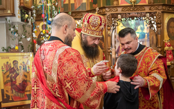 Престольный праздник прихода храма Димитрия Донского