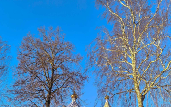 Протоиерей Александр Вербило сослужил епископу Амвросию в храме Рождества Пресвятой Богородицы аг. Худовцы