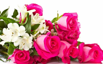 Поздравляем!