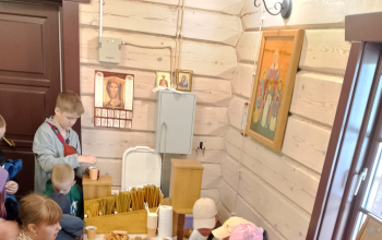 Экскурсия для ребят из оздоровительного лагеря "Солнышко" ГУО "Староборисовская средняя школа"