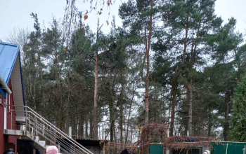 Субботник в приходе храма Рождества Христова