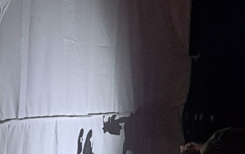 Воскресная школа кафедрального собора Воскресения Христова на пасхальном фестивале «Радость»