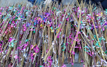 Вербное воскресенье в храме Рождества Христова