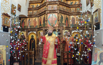 В день памяти блж. Матроны Московской епископ Амвросий молился в храме Димитрия Донского