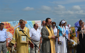 Зажинки в д. Оздятичи