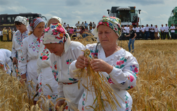 Зажинки в д. Оздятичи