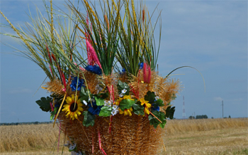Зажинки в д. Оздятичи
