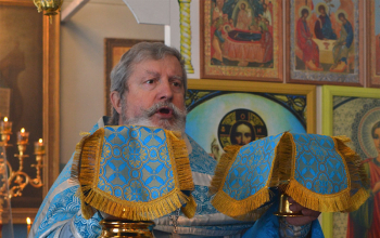 В защиту материнства и жизни детей