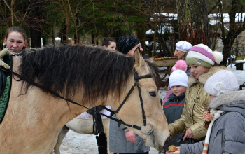 На масленицу — в усадьбу «Бивак»
