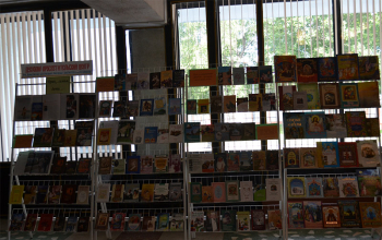 Икона Божией Матери Ченстоховская в г. Борисове