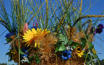 Зажинки в Борисовском районе