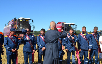 Зажинки в Борисовском районе