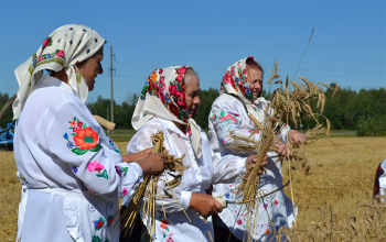 Зажинки в Борисовском районе
