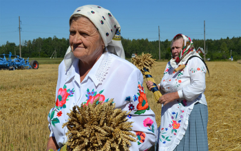 Зажинки в Борисовском районе