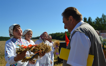 Зажинки в Борисовском районе