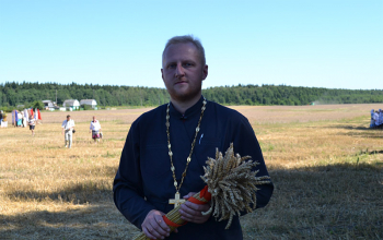 Зажинки в Борисовском районе