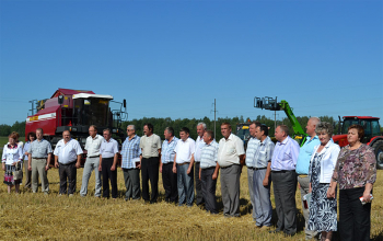 Зажинки в Борисовском районе