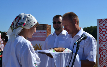 Зажинки в Борисовском районе
