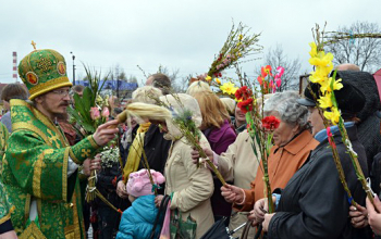 Вербное Воскресение в приходах Борисовского благочиния