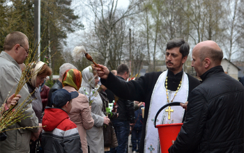 Вербное Воскресение в приходах Борисовского благочиния