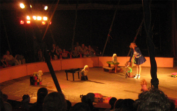 Встречи в клубе «Солнышко»