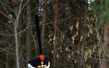 Экскурсия на Брилевское поле