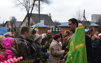 Вербное воскресенье в храмах Борисовского благочиния