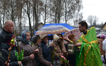 Вербное воскресенье в храмах Борисовского благочиния