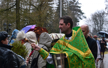 Вербное воскресенье в храмах Борисовского благочиния