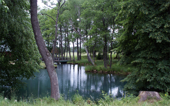 Организуется поездка на Голубую криницу