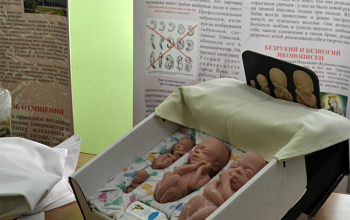 Выставка «Спасай взятых на смерть» возобновляет свою работу