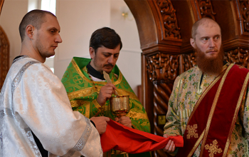 Вербное воскресенье в храмах Борисовского благочиния