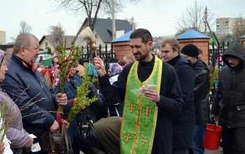 Вербное воскресенье в храмах Борисовского благочиния