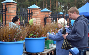 Вербное воскресенье в храмах Борисовского благочиния