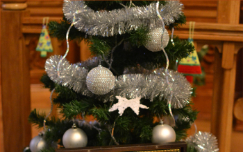 Рождество 2016/2017: Престольный праздник храма Рождества Христова г. Борисова