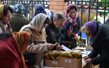 Вербное воскресенье в храмах 1-го Борисовского благочиния